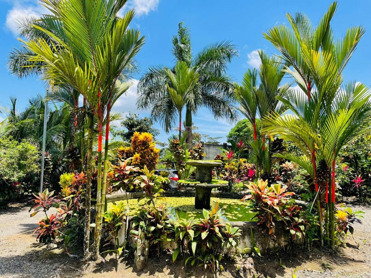 Aunty Arenal Lodge Ла Фортуна Экстерьер фото