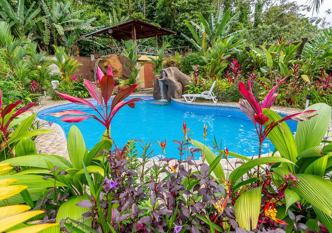 Aunty Arenal Lodge Ла Фортуна Экстерьер фото